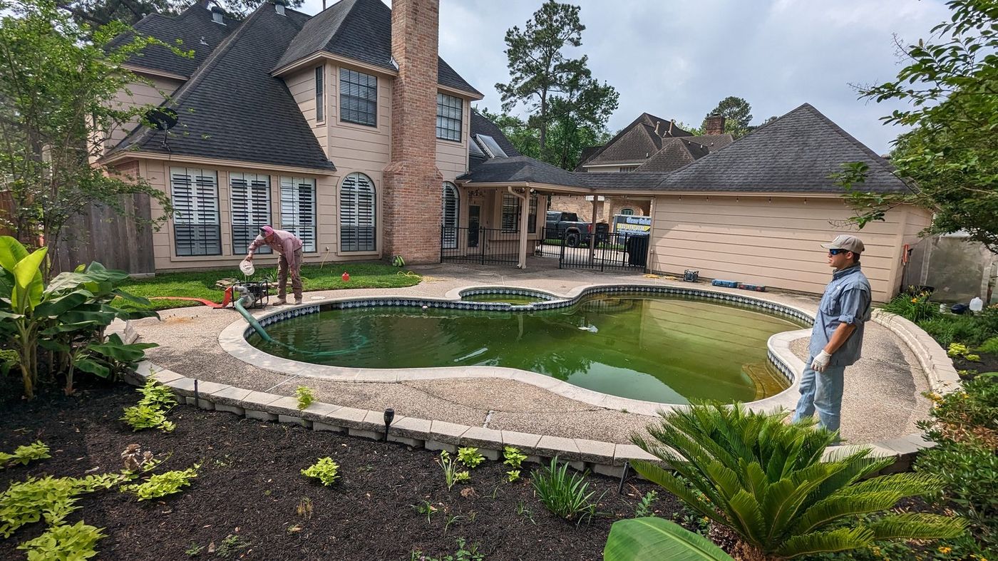 Neglected green pool before transformation